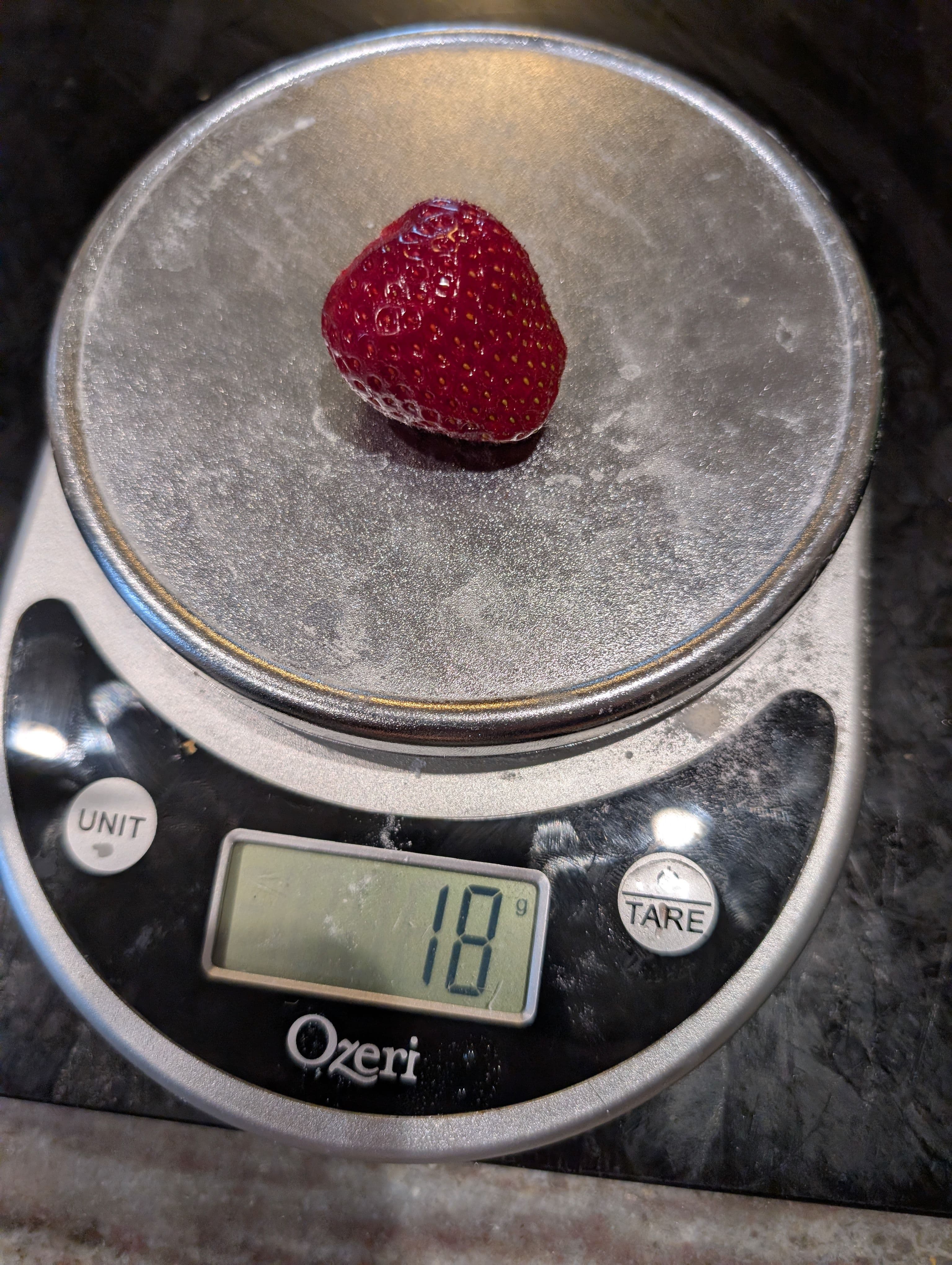 Kids ate most but managed to weigh one