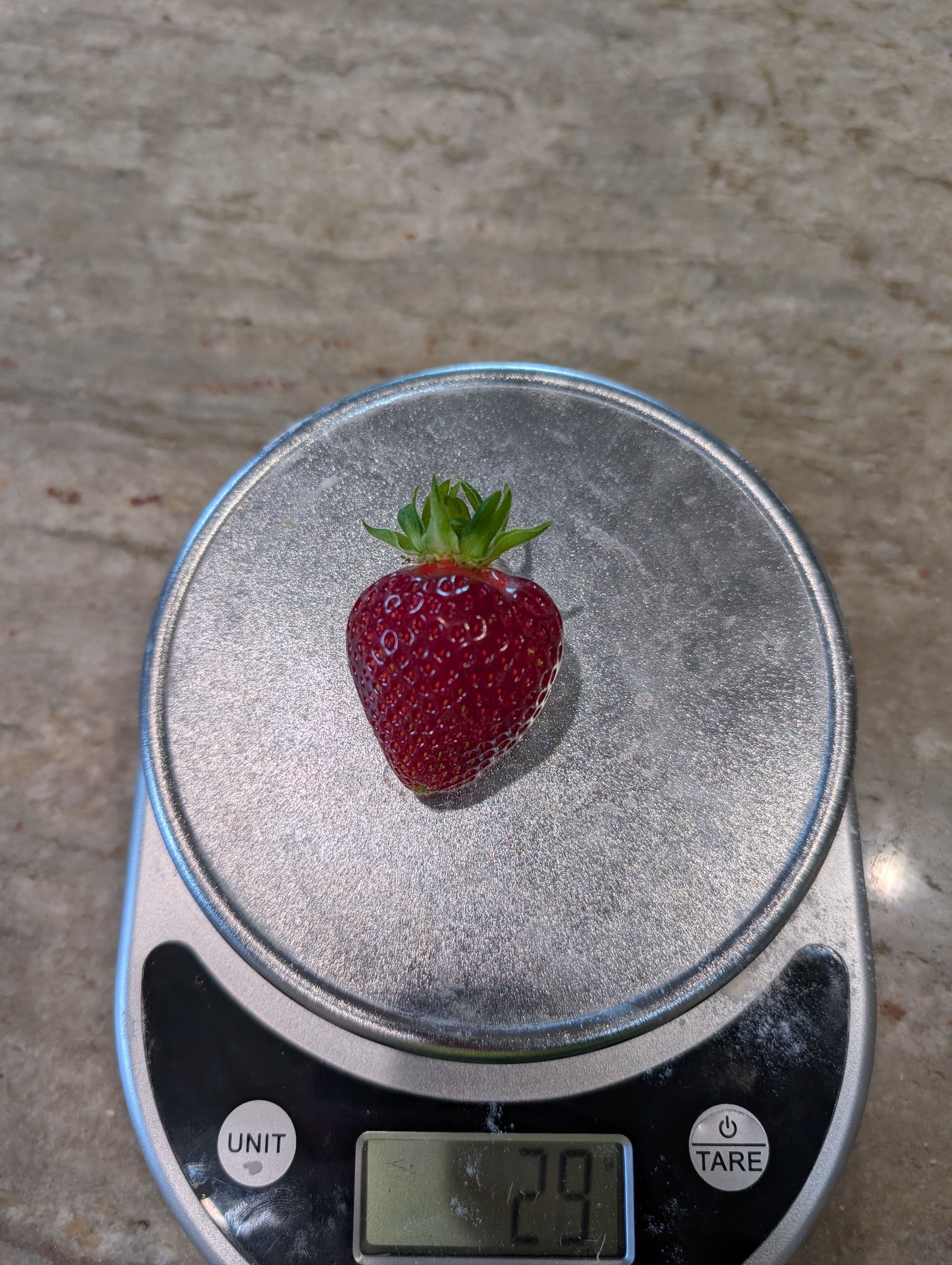 Heaviest Strawberry patch