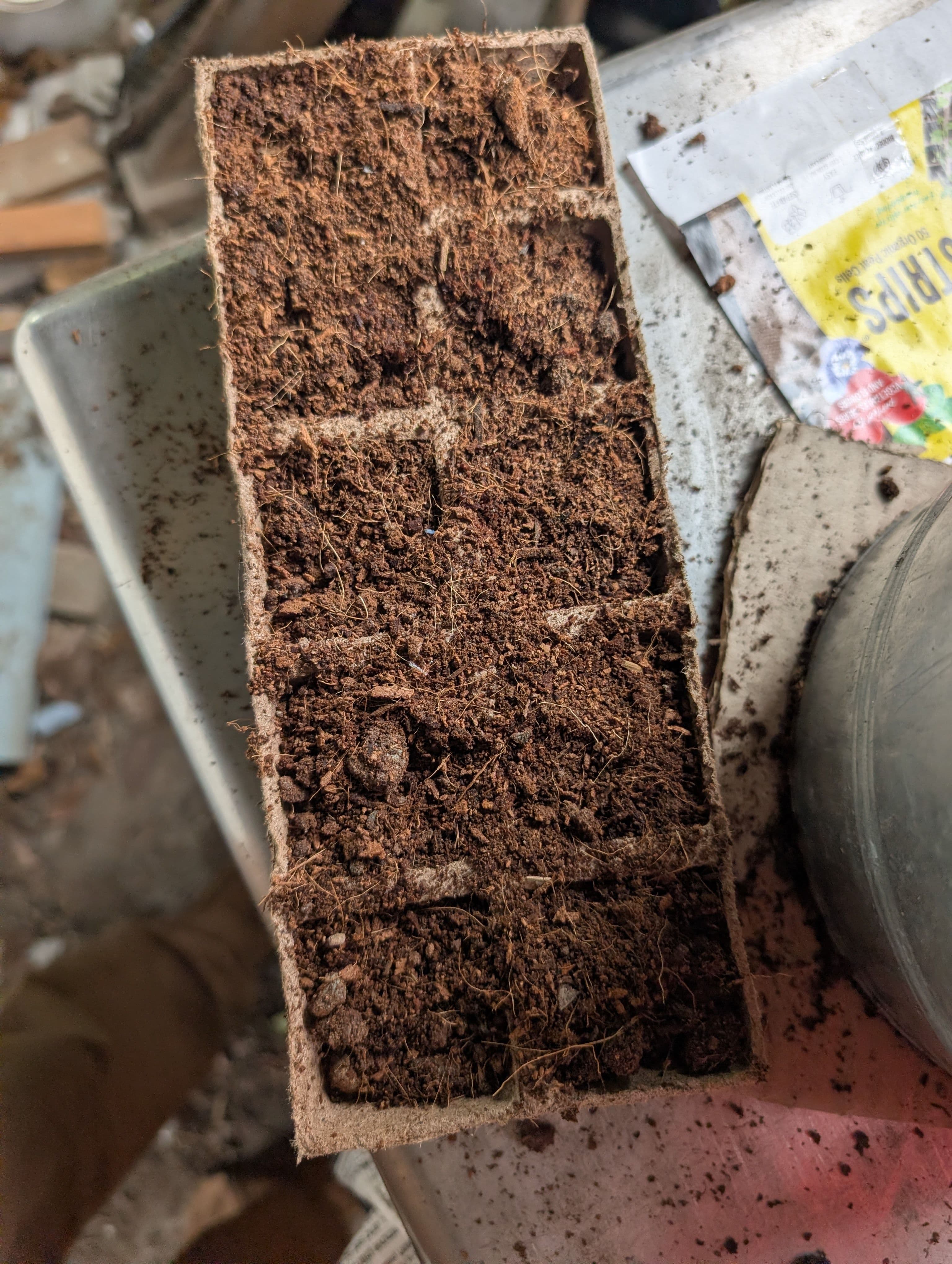 Planting seeds in coconut core and old coffee grounds
