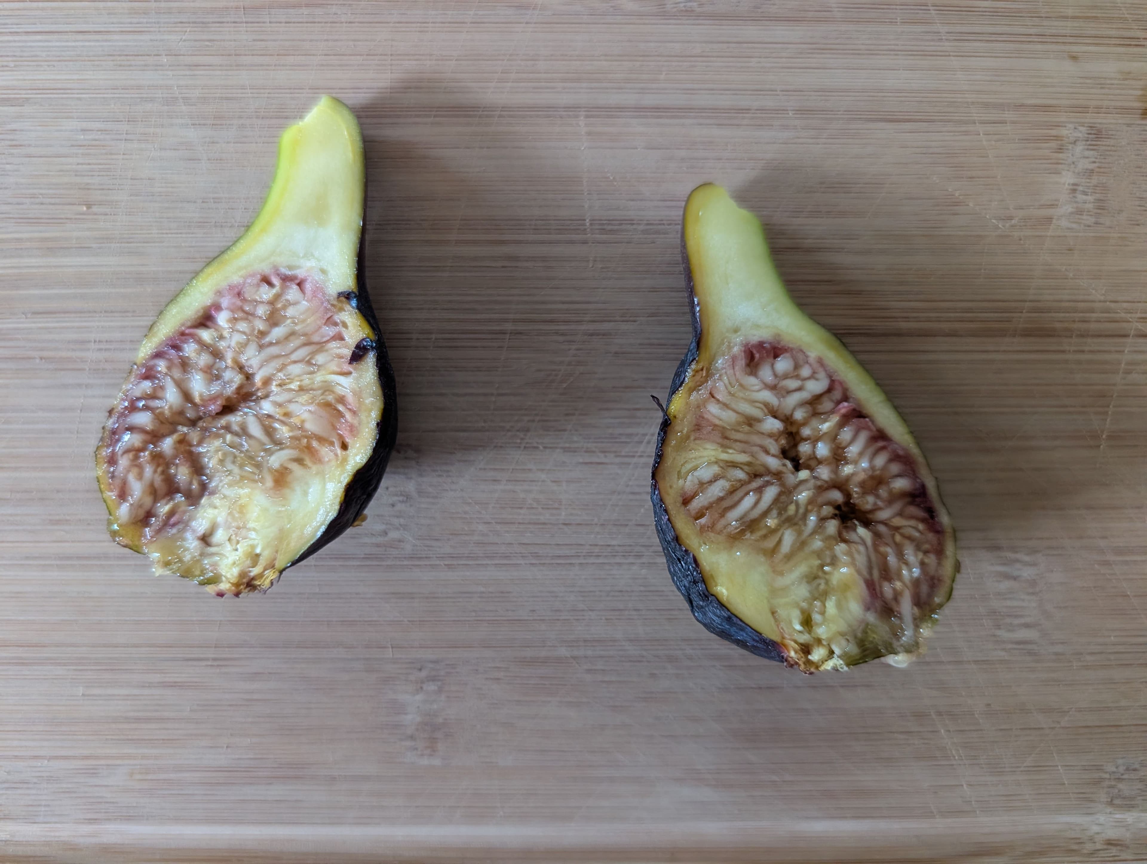 Not bad, it didn't have a lot of flavor but I enjoyed it, it was actually ripe and sweet and hadn't gone bad like the other breba from earlier in the summer 