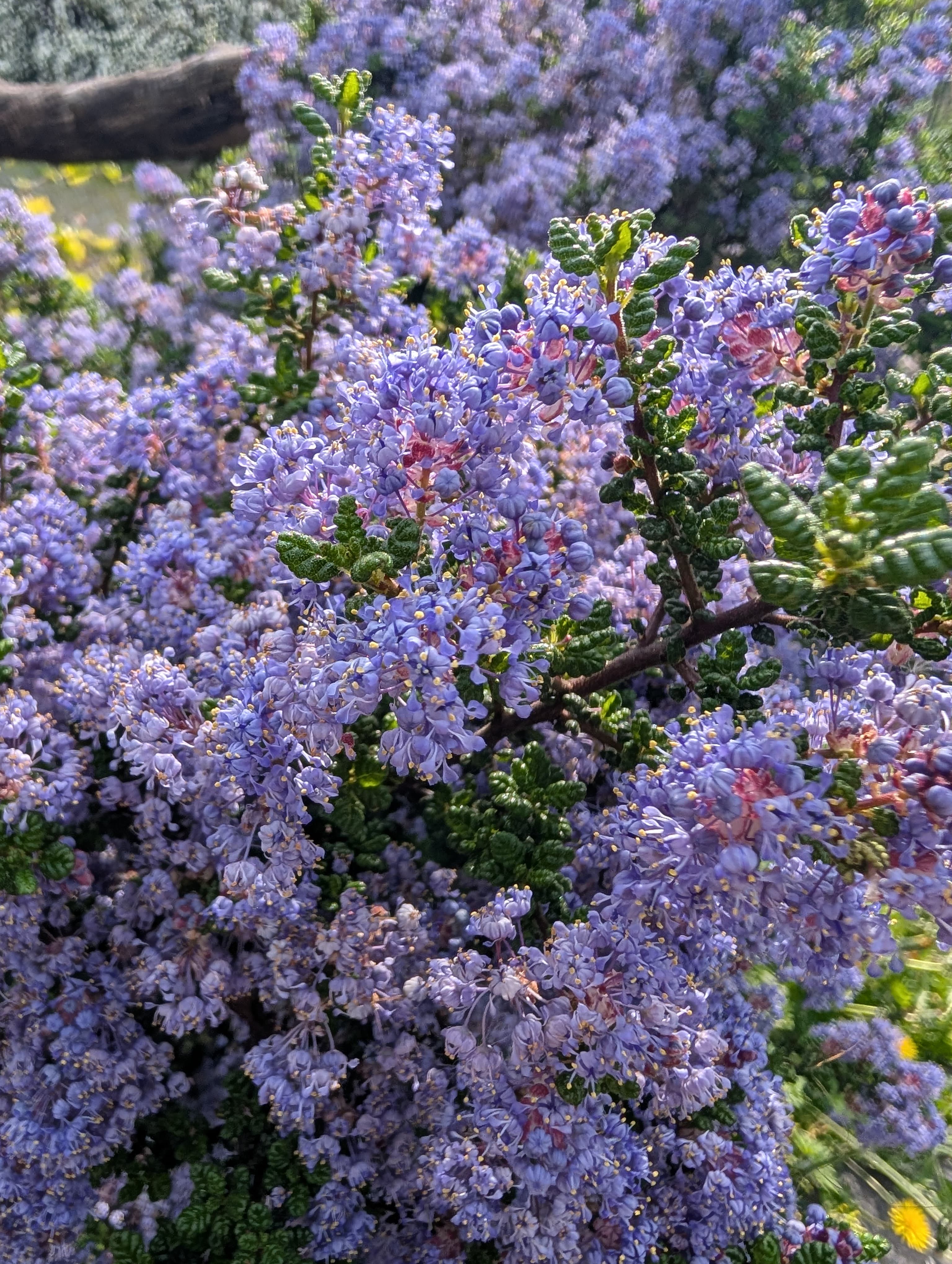 Entity photo