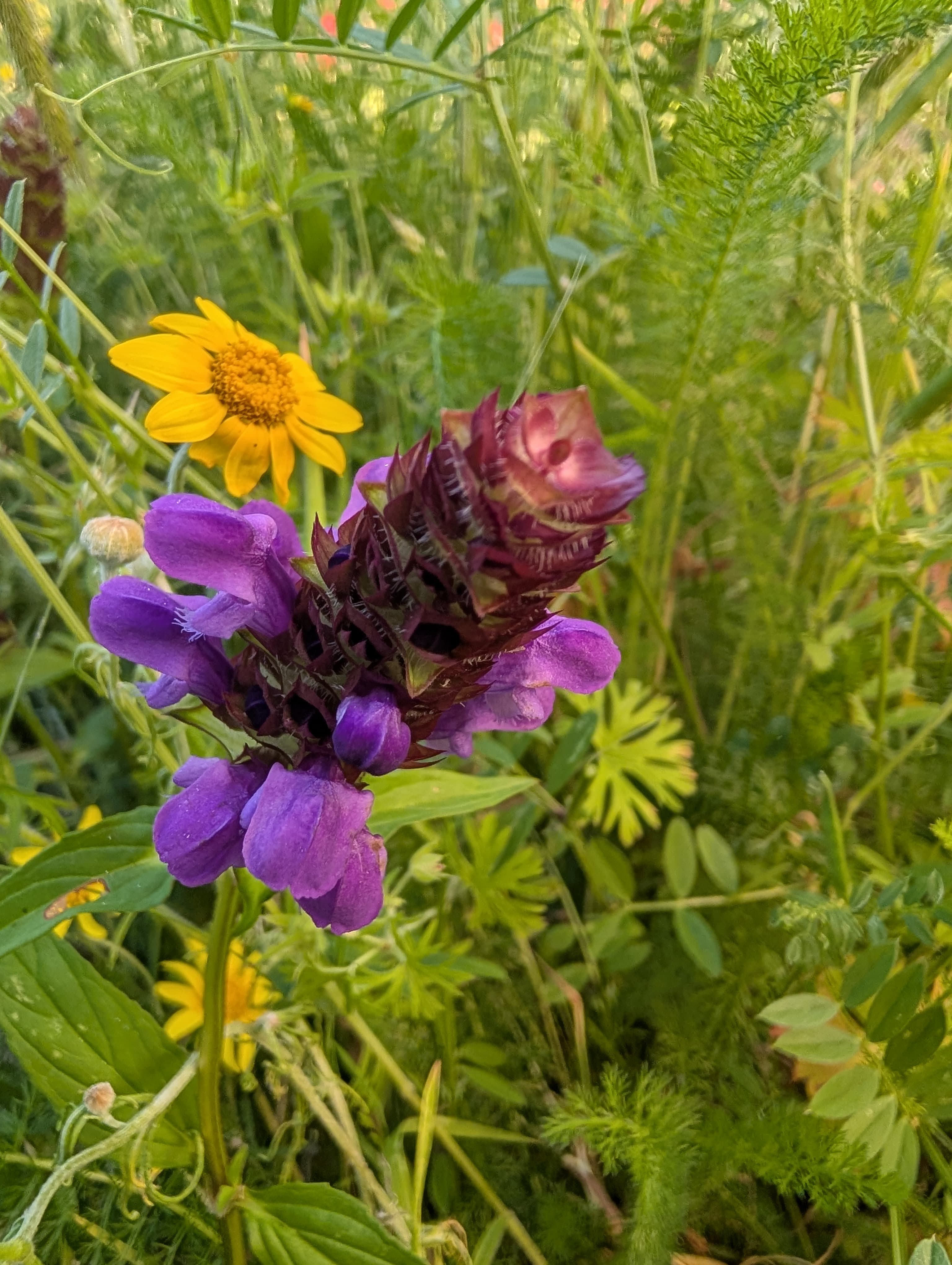 Selfheal